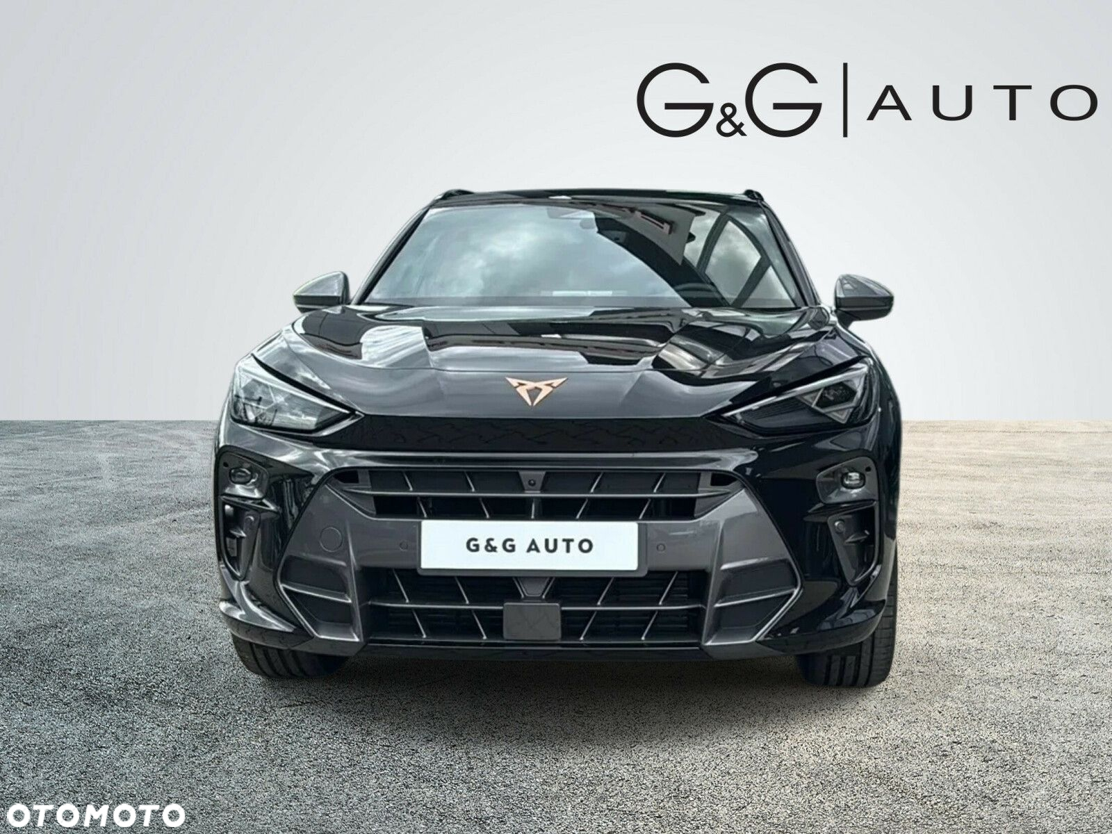 Cupra Terramar 2.0 TSI 4Drive DSG - 3
