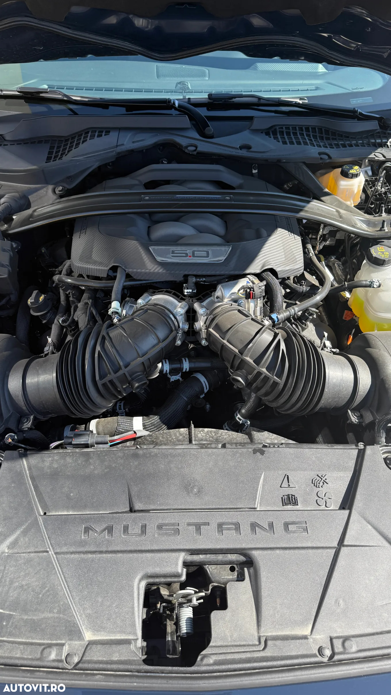 Ford Mustang 5.0 V8 Aut. Mach 1 - 27