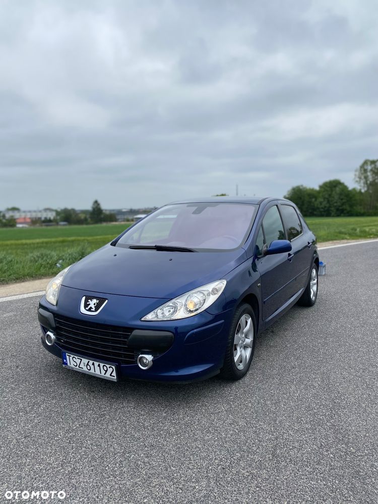 Peugeot 307 2.0 - 12