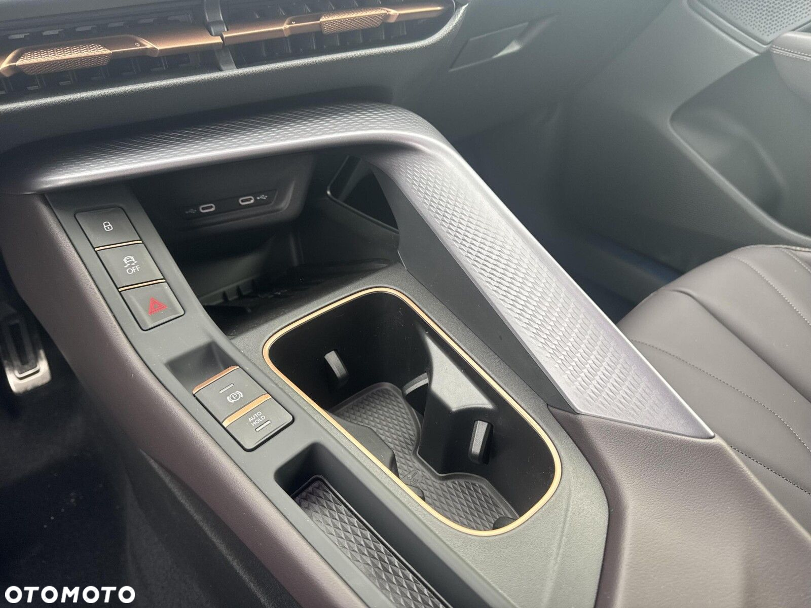 Cupra Terramar - 19