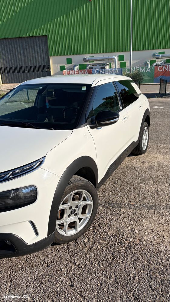 Citroën C4 Cactus 1.2 PureTech Feel EAT6 - 14