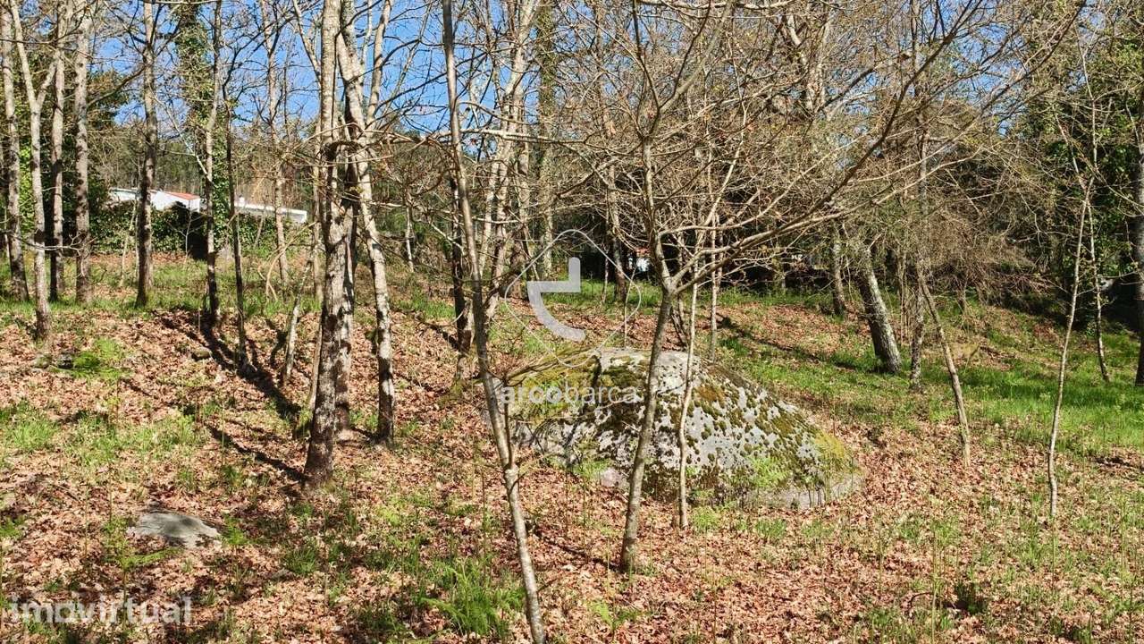 Terreno com  4042m2, viabilidade de construção, com PIP, Formariz - Pa - Grande imagem: 2/47