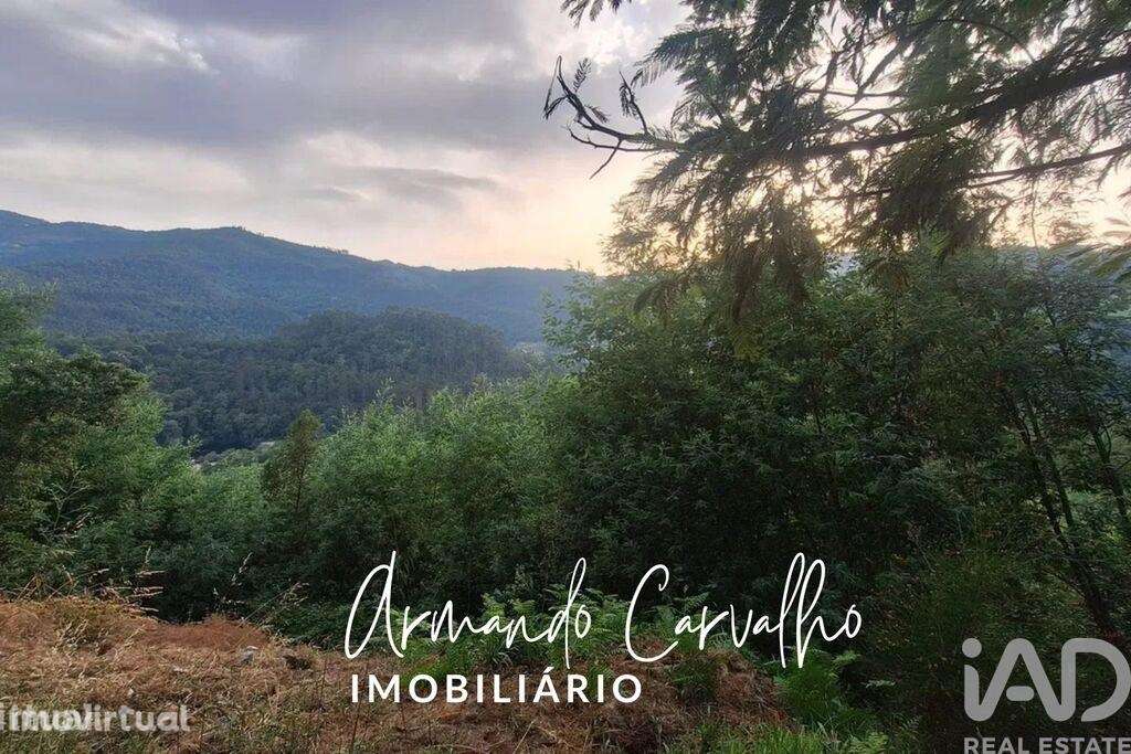 Terreno em Travanca - Grande imagem: 3/7