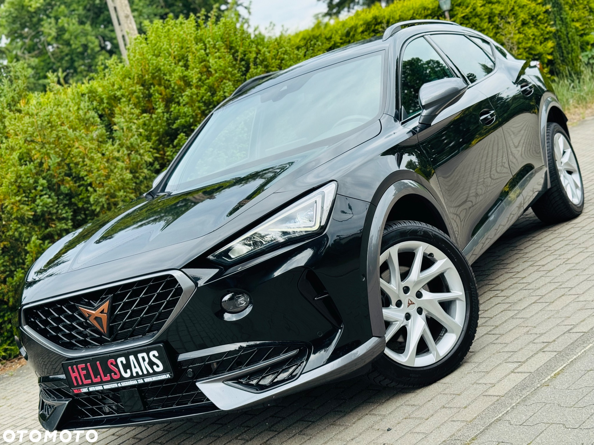 Cupra Formentor 2.0 TDI 4Drive DSG Tribe Edition - 15