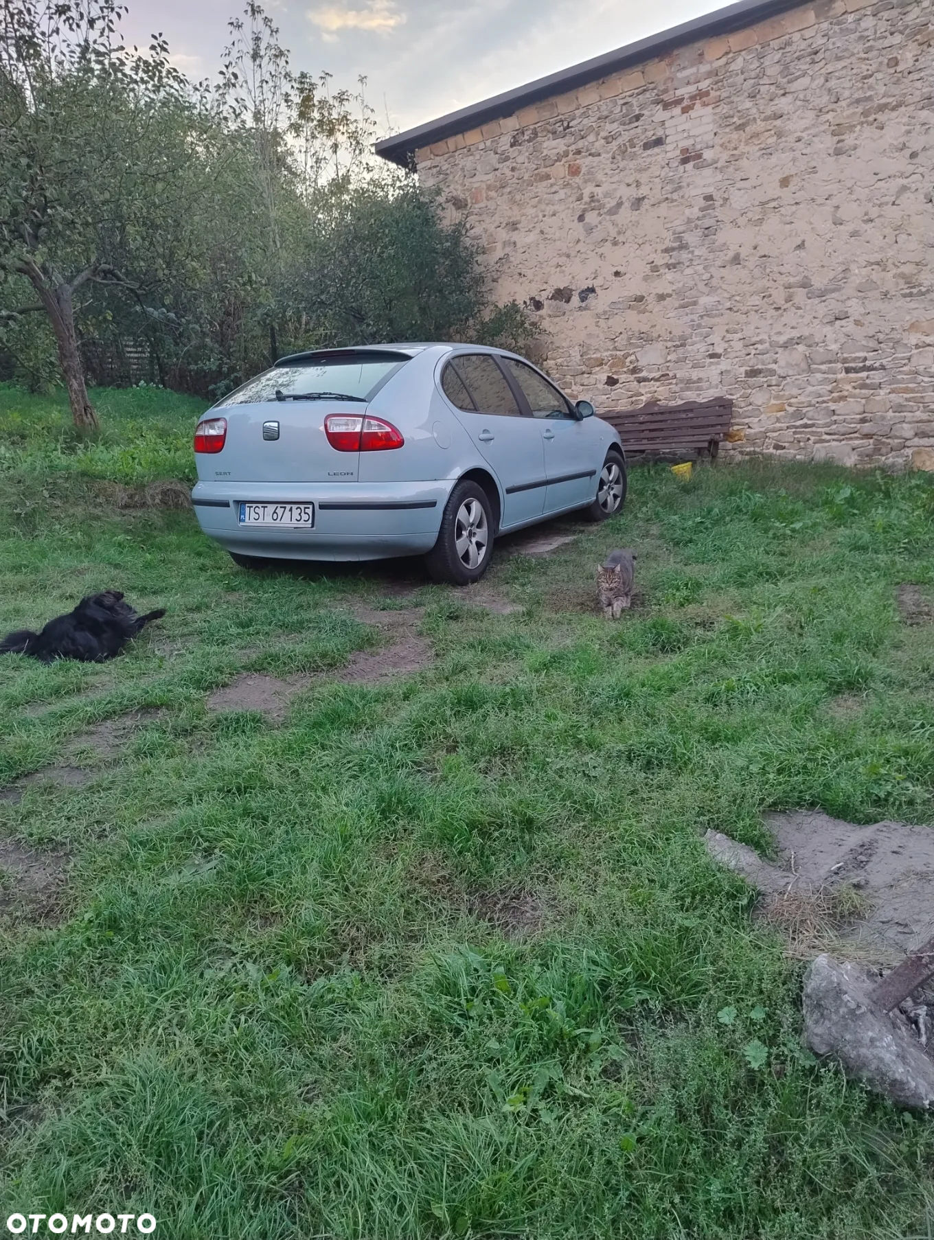 Seat Leon - 8