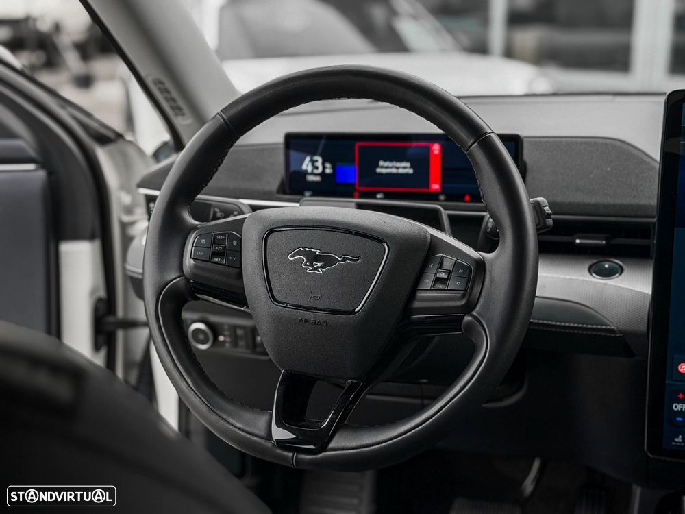 Ford Mustang Mach-E Standard - 10