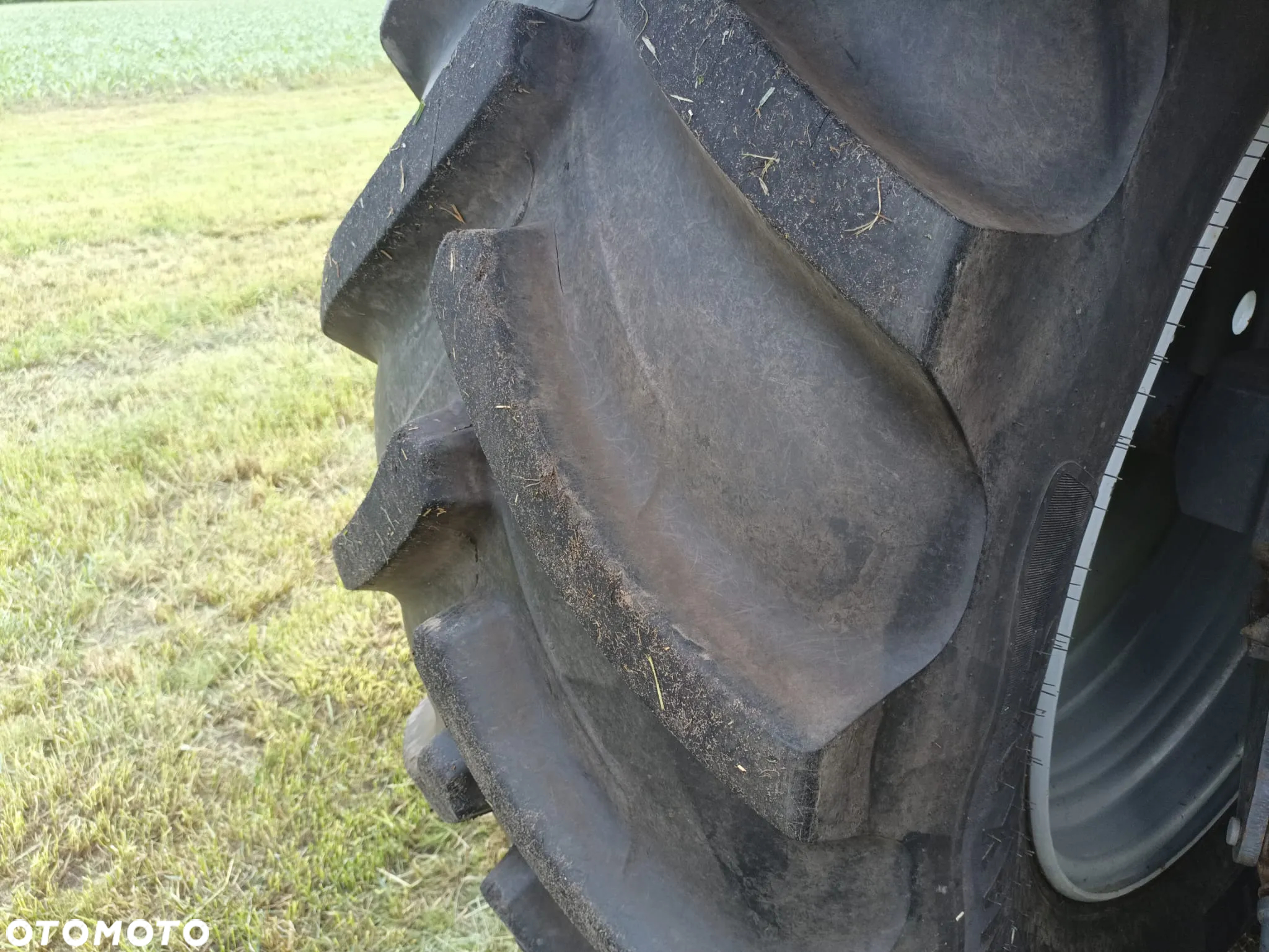 Massey Ferguson 6490 DYNA 6 - 13