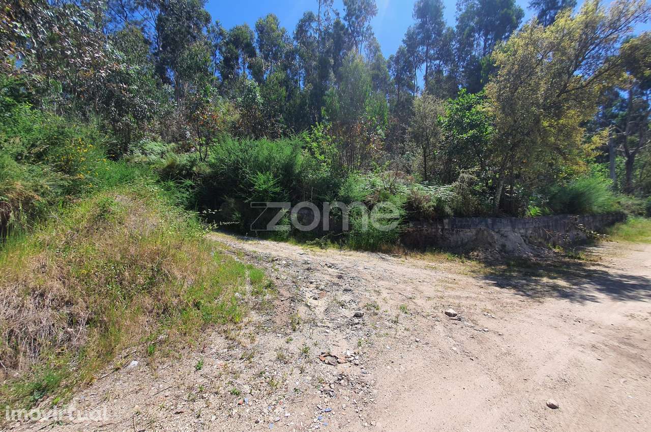 Bouça c/ 14.300m2 em Airó, Barcelos - Grande imagem: 2/38