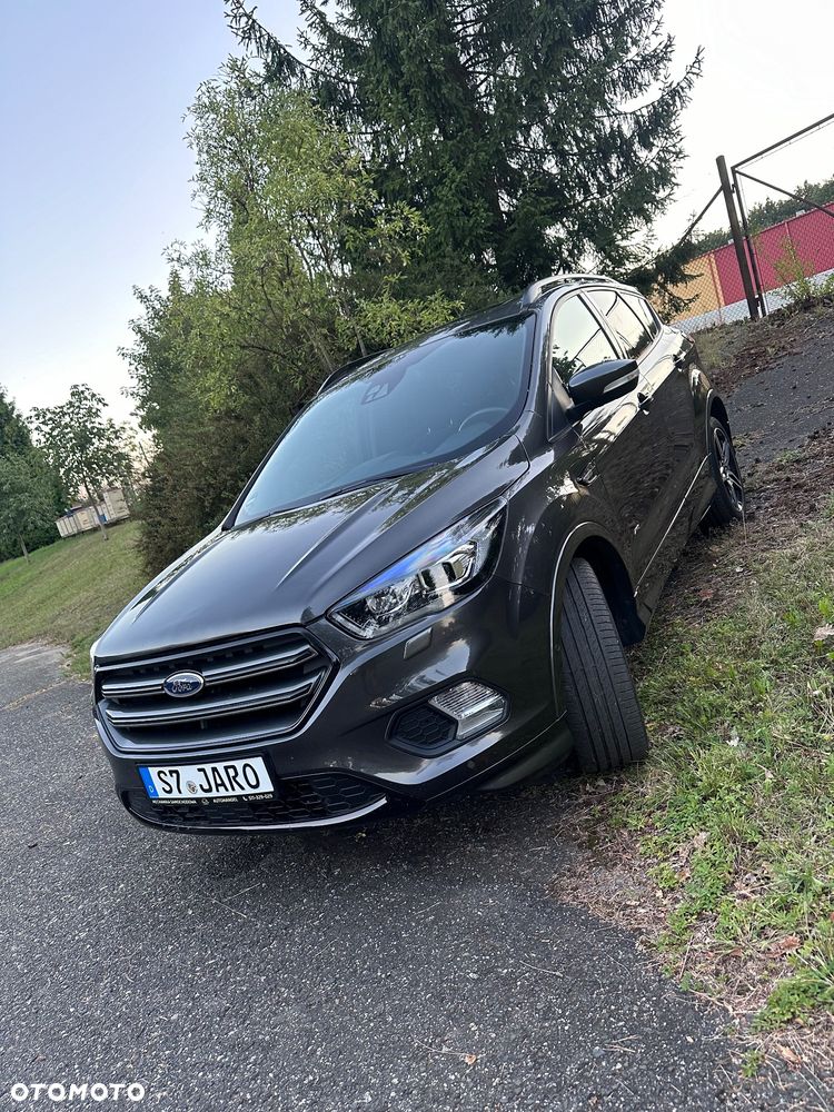 Ford Kuga 2.0 EcoBoost AWD ST-Line ASS - 2