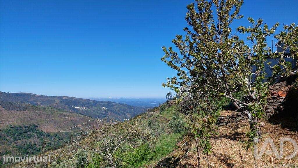 Casa de Campo em Cerdeira e Moura da Serra de 35 m2 - Grande imagem: 5/10