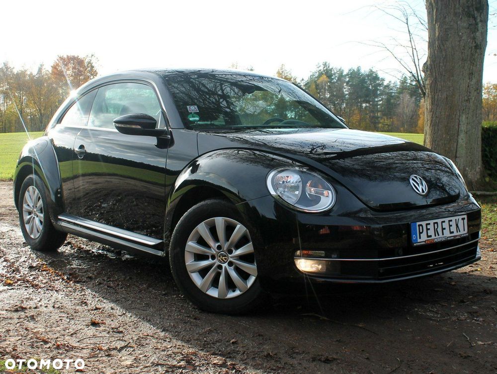 Volkswagen Beetle - 1