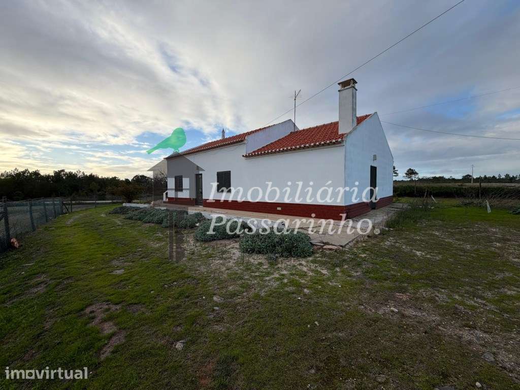 Herdade c/ habitação T2+2 - Aljezur - Grande imagem: 5/29