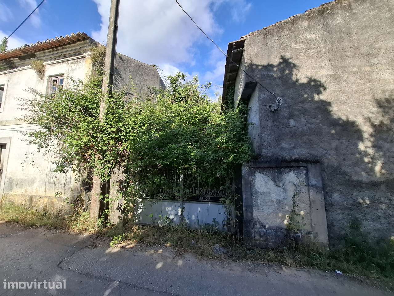 Quinta com 5.350 m2 de Terreno a 20 min de Coimbra - Grande imagem: 3/11