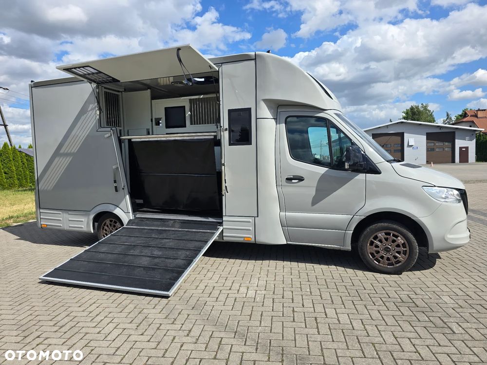 Mercedes-Benz Koniowóz-Sprinter - 4