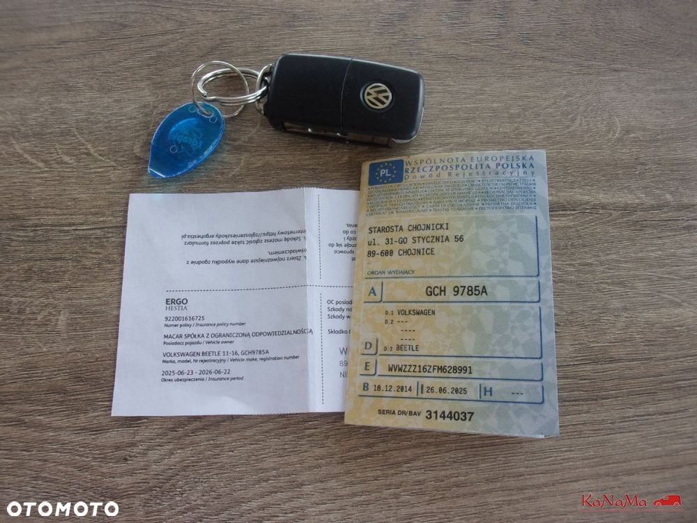 Volkswagen Beetle - 38