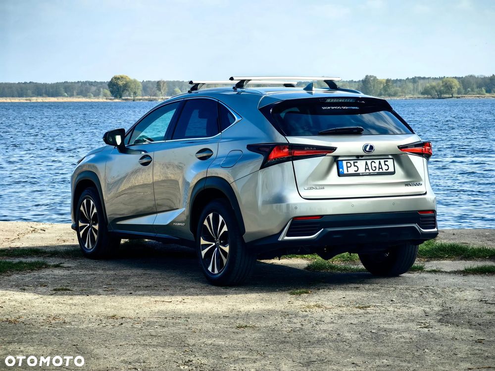 Lexus NX 300 Business Edition AWD - 5