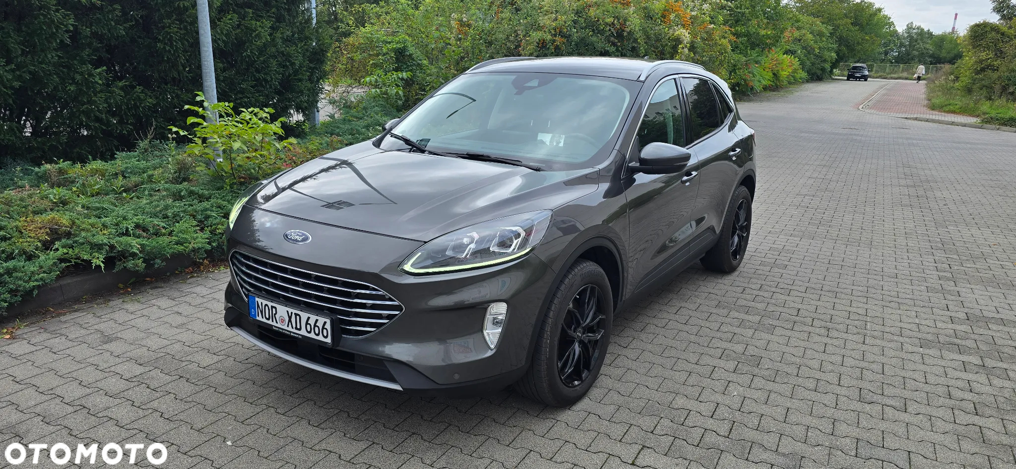 Ford Kuga 2.0 EcoBlue 4x4 TITANIUM - 2