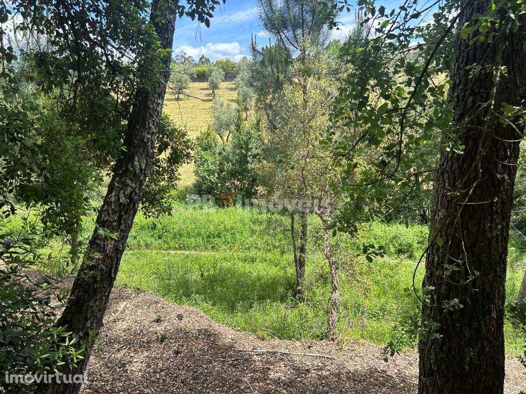 2 Terrenos rústicos - Pardielas, Ferreira do Zêzere - Grande imagem: 5/8