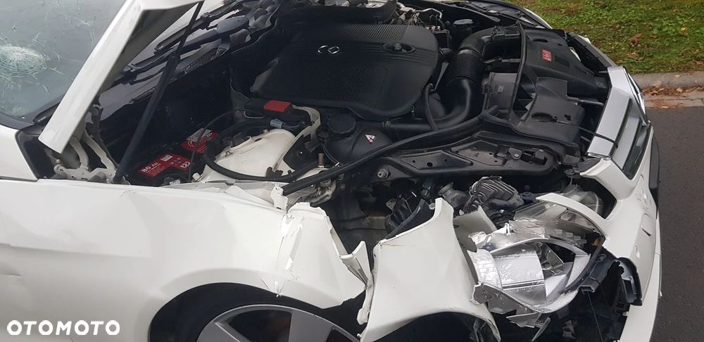 Mercedes-Benz Klasa E 220 CDI DPF BlueEFFICIENCY Automatik Avantgarde - 21