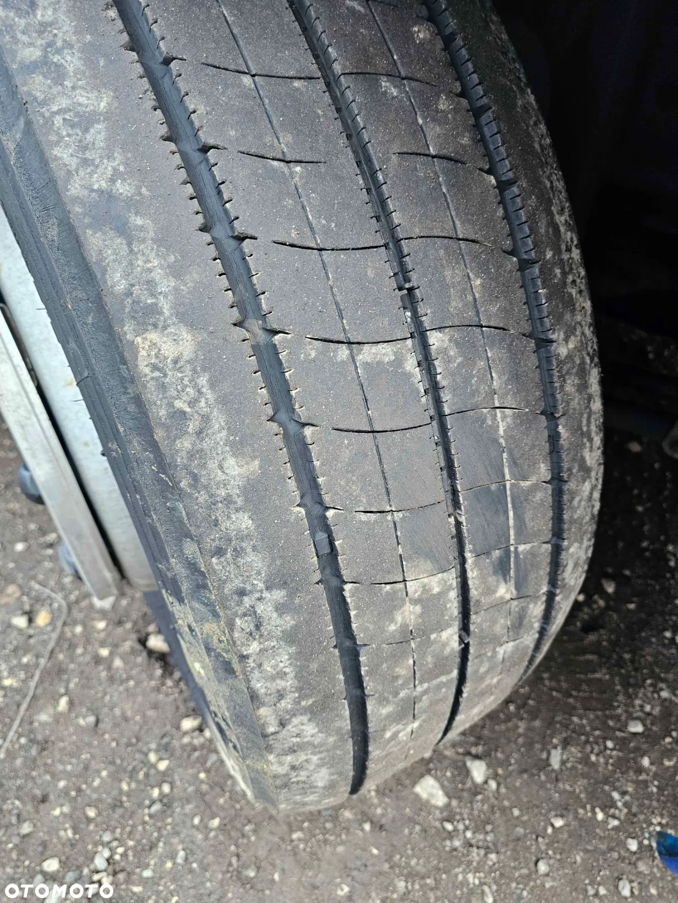 Scania R450 / TOPLINE / EURO 6 / LOWDECK MEGA / PIERWSZY WŁAŚCICIEL - 23