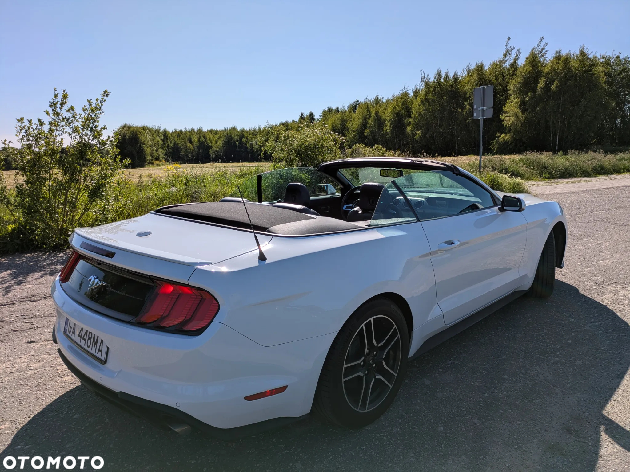 Ford Mustang 2.3 EcoBoost - 38