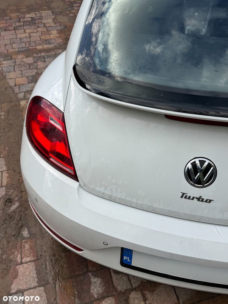 Volkswagen Beetle - 6