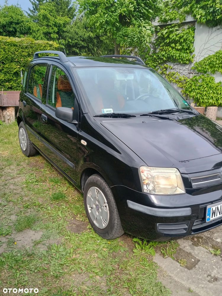 Fiat Panda - 2