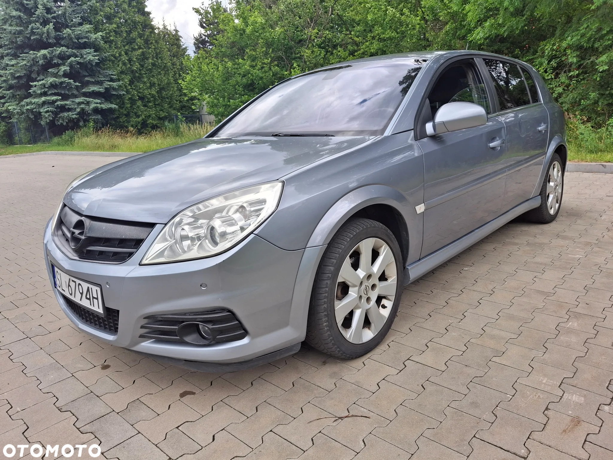 Opel Signum - 2