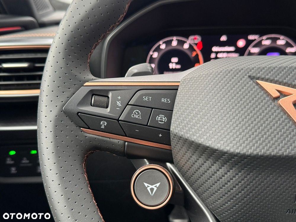 Cupra Formentor 2.0 TSI 4Drive DSG - 29