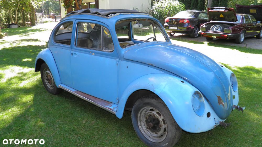 Volkswagen Beetle - 2