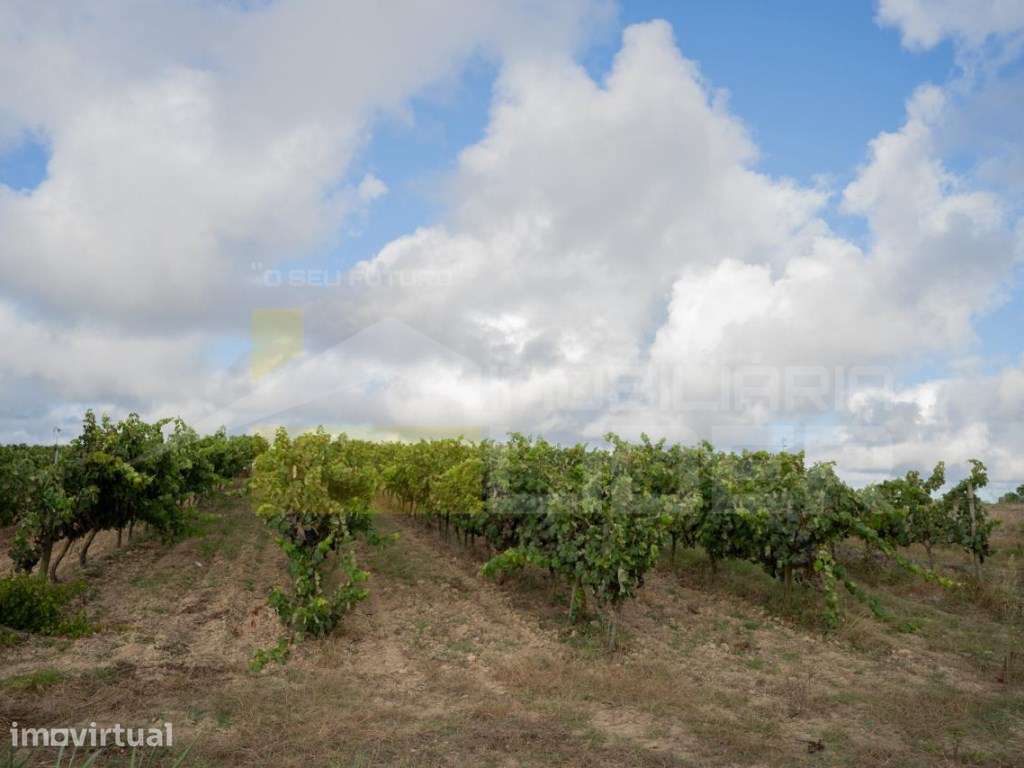 Terreno com 9.0000m² de área de Urbana em Casal do Vale- Freiria - Grande imagem: 4/15