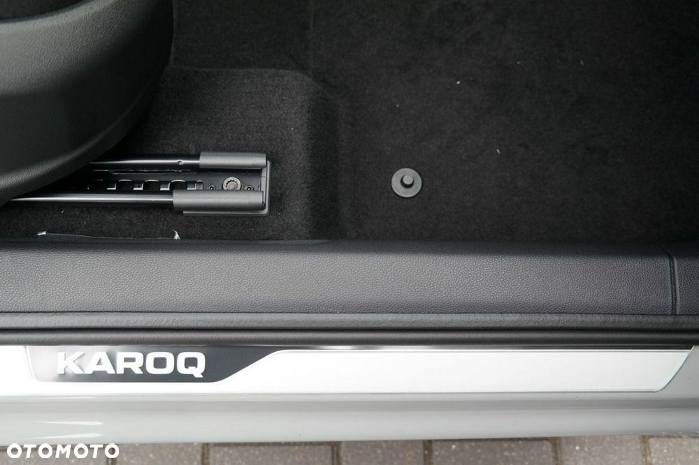 Skoda Karoq - 29