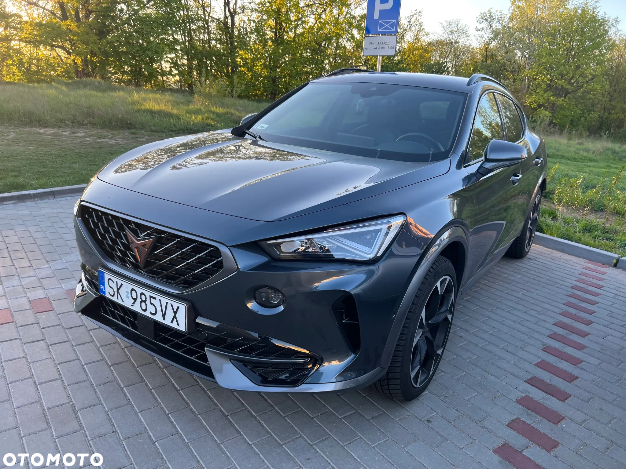 Cupra Formentor 2.0 TSI 4Drive DSG - 2
