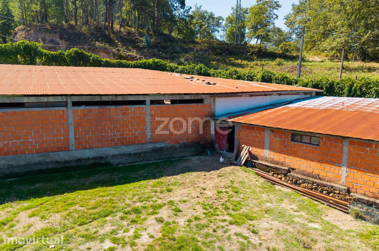 Terreno Rústico com Pavilhão Agrícola em Louredo, Vieira do Minho - Grande imagem: 5/19