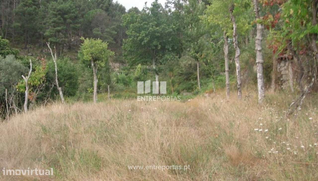 Venda Terreno, Tabuado, Marco de Canaveses - Grande imagem: 3/4
