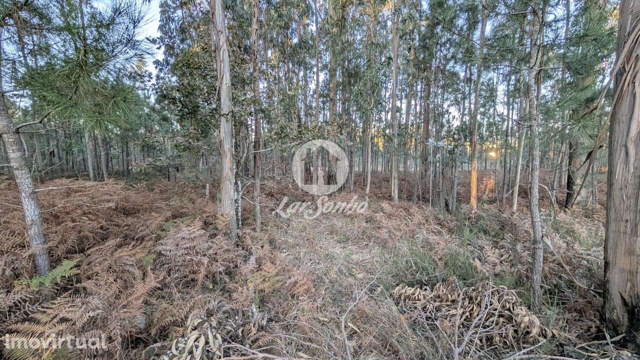 Terreno industrial com 4.177m2 em Laúndos - Grande imagem: 2/6