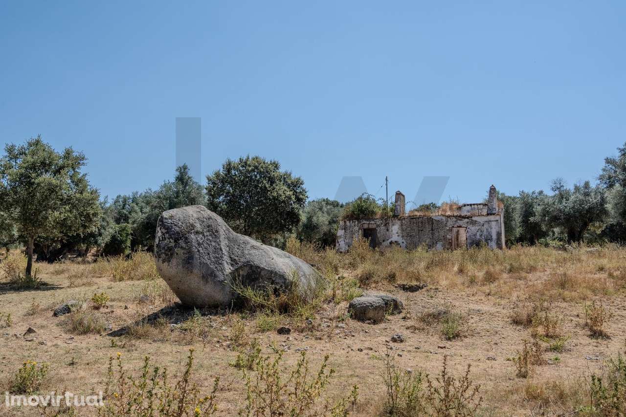 Terreno com 1.45 hectares e projeto aprovado, em Montemor o Novo - Grande imagem: 3/48