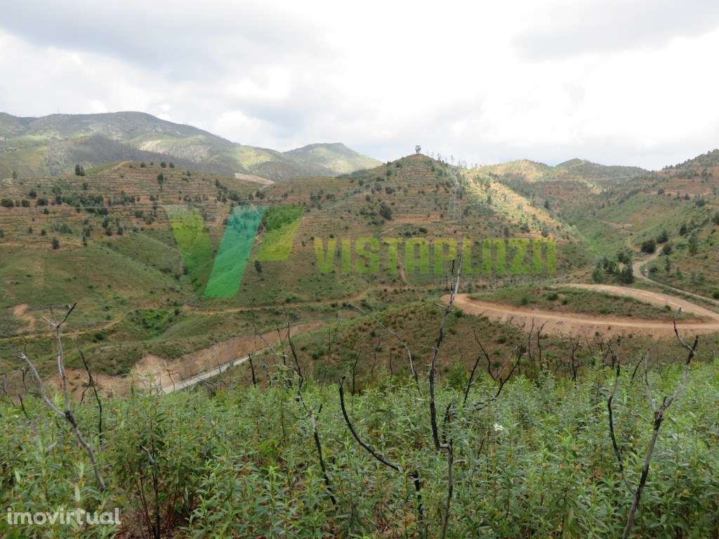 Terreno Rustico com 5 hectares com Vista para a Barragem, Monchique... - Grande imagem: 4/21