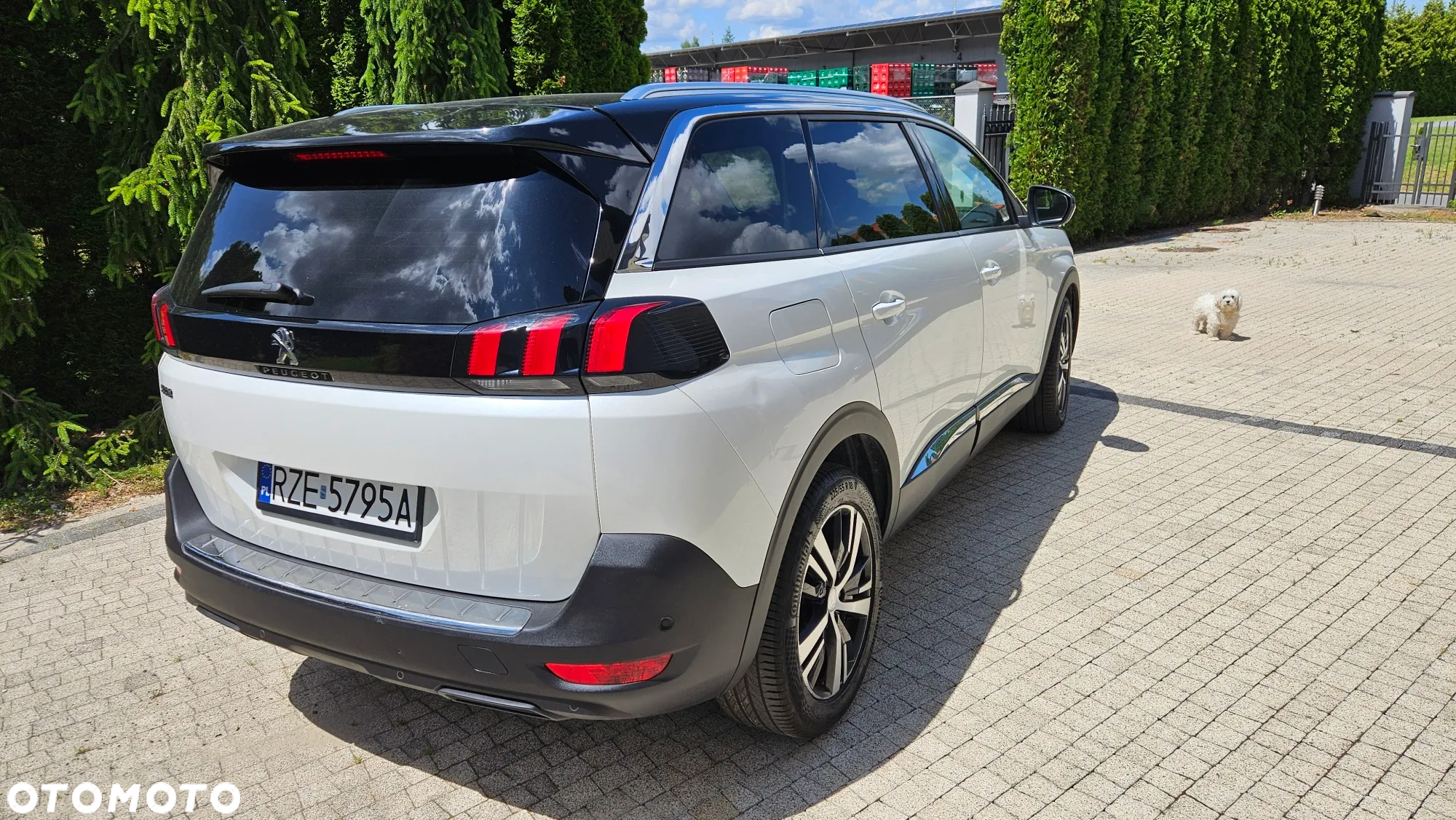 Peugeot 5008 1.6 THP Allure S&S EAT6 - 4