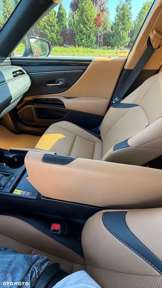 Lexus ES 300h Business Edition - 25