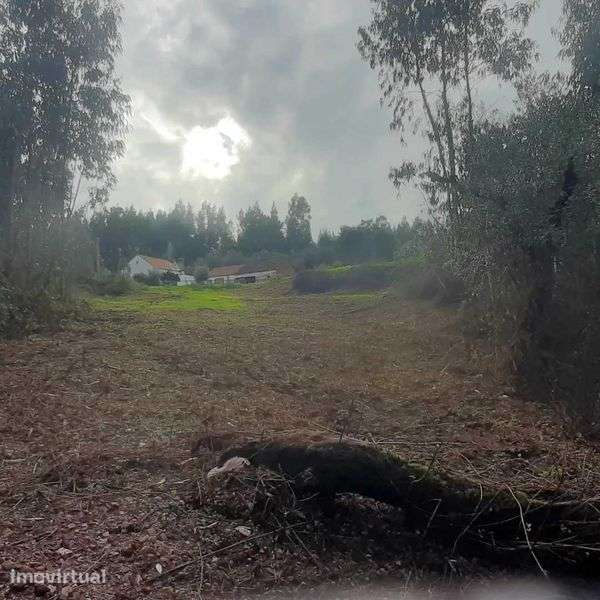 Tereno - campo Alvaiazere/Laranjeiras - Grande imagem: 2/2