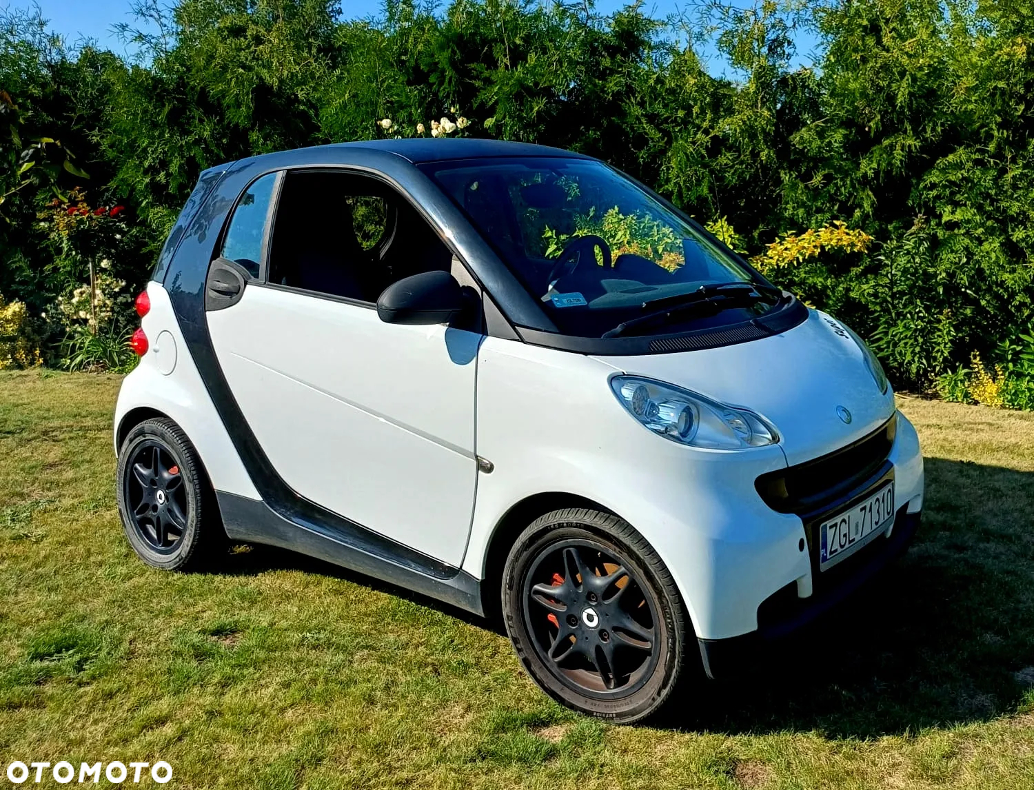 Smart Fortwo cdi coupe softouch black&white limited dpf - 4