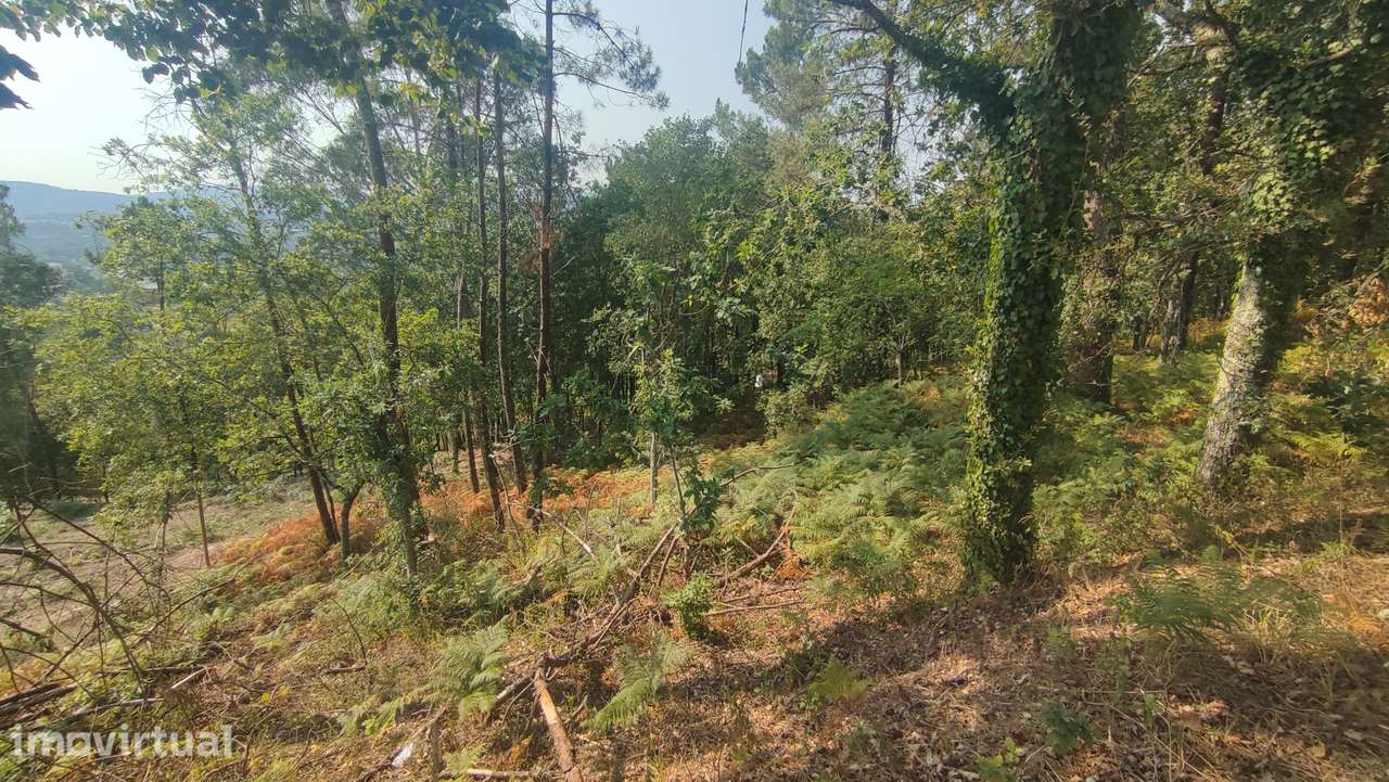 Terreno em Fiscal, Amares - Grande imagem: 5/9