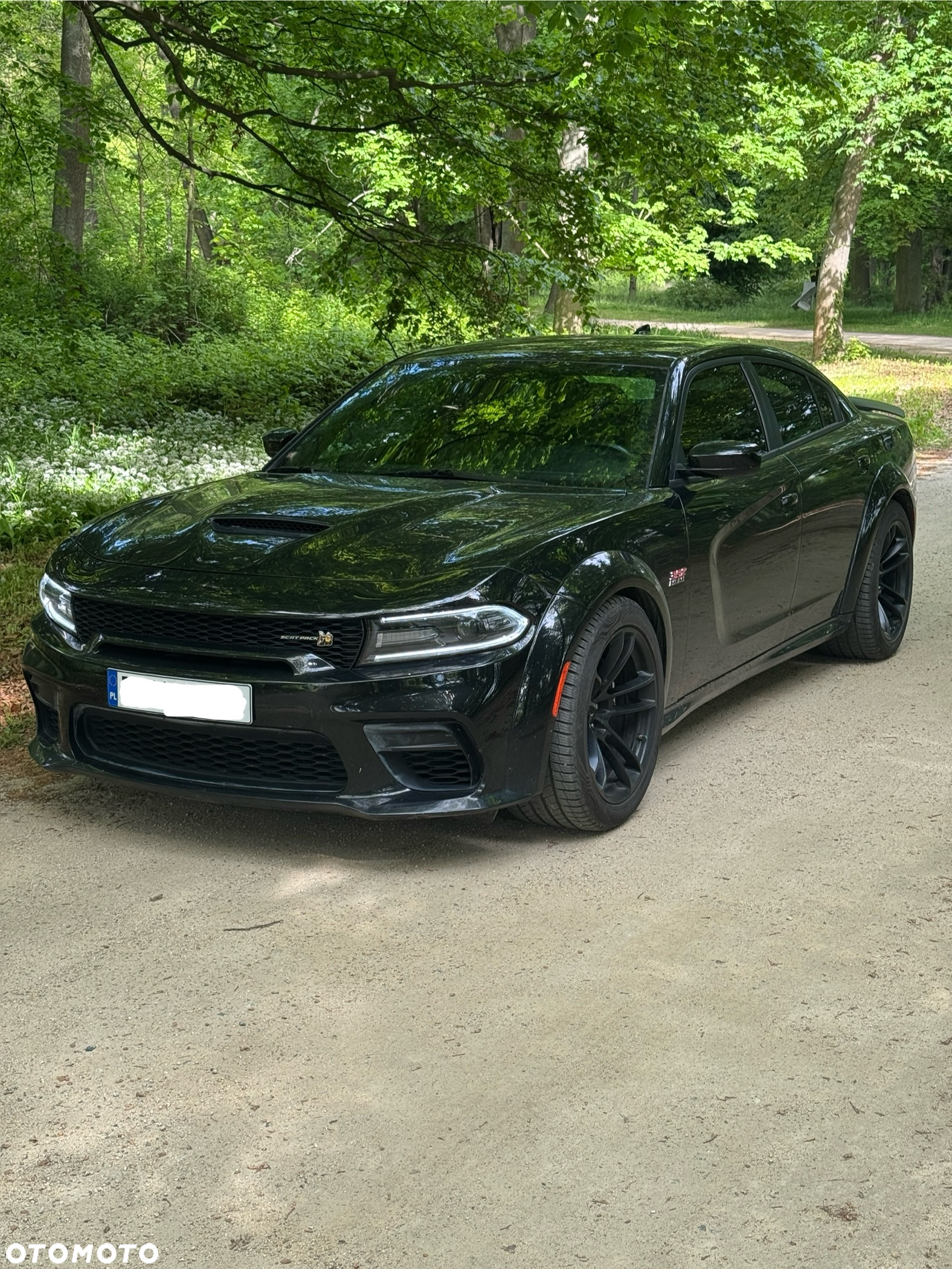 Dodge Charger 6.4 Scat Pack Widebody - 14
