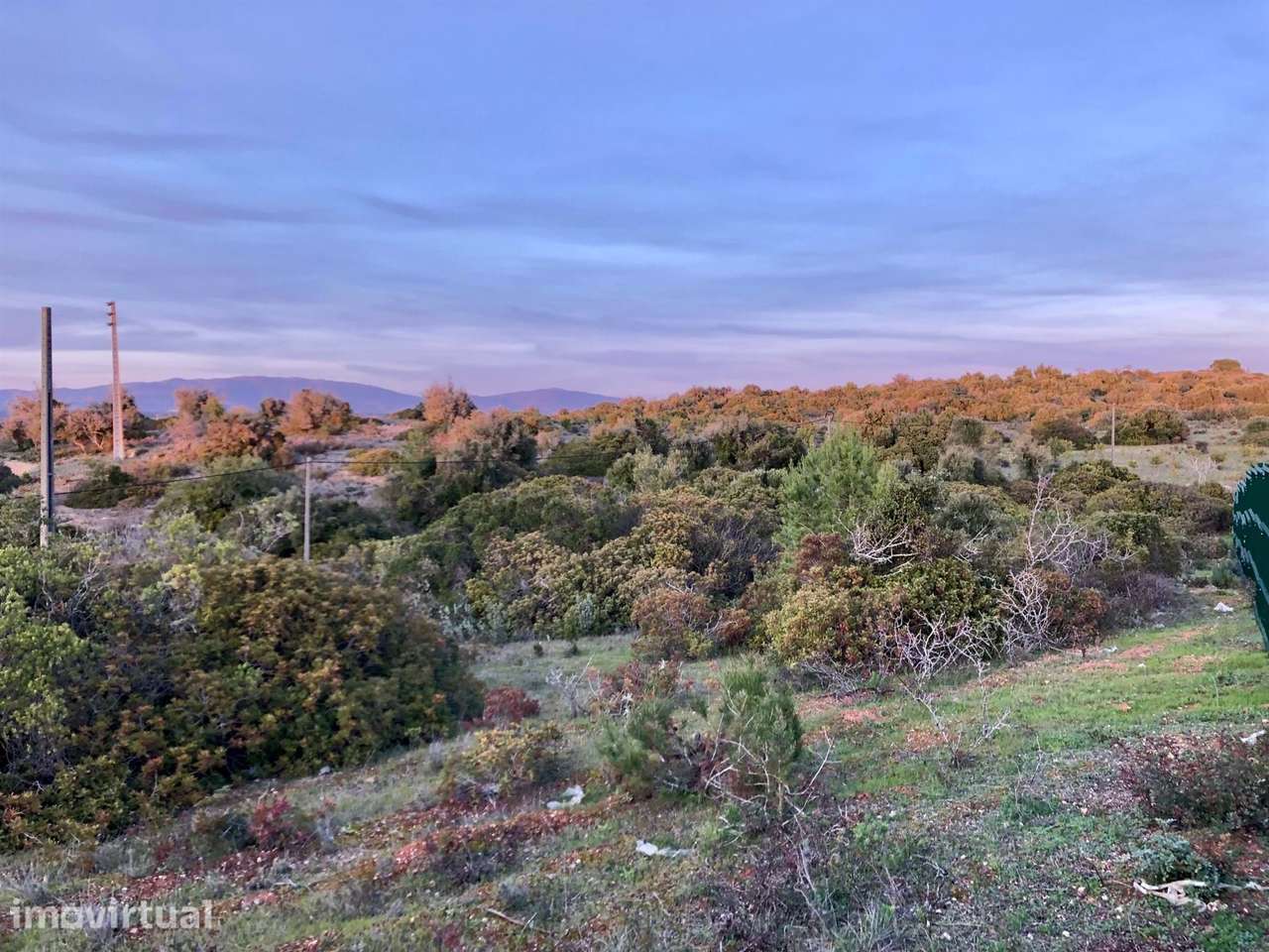 TERRENO RUSTICO PERTO DOS PALMARES, ODIÁXERE - Grande imagem: 4/5