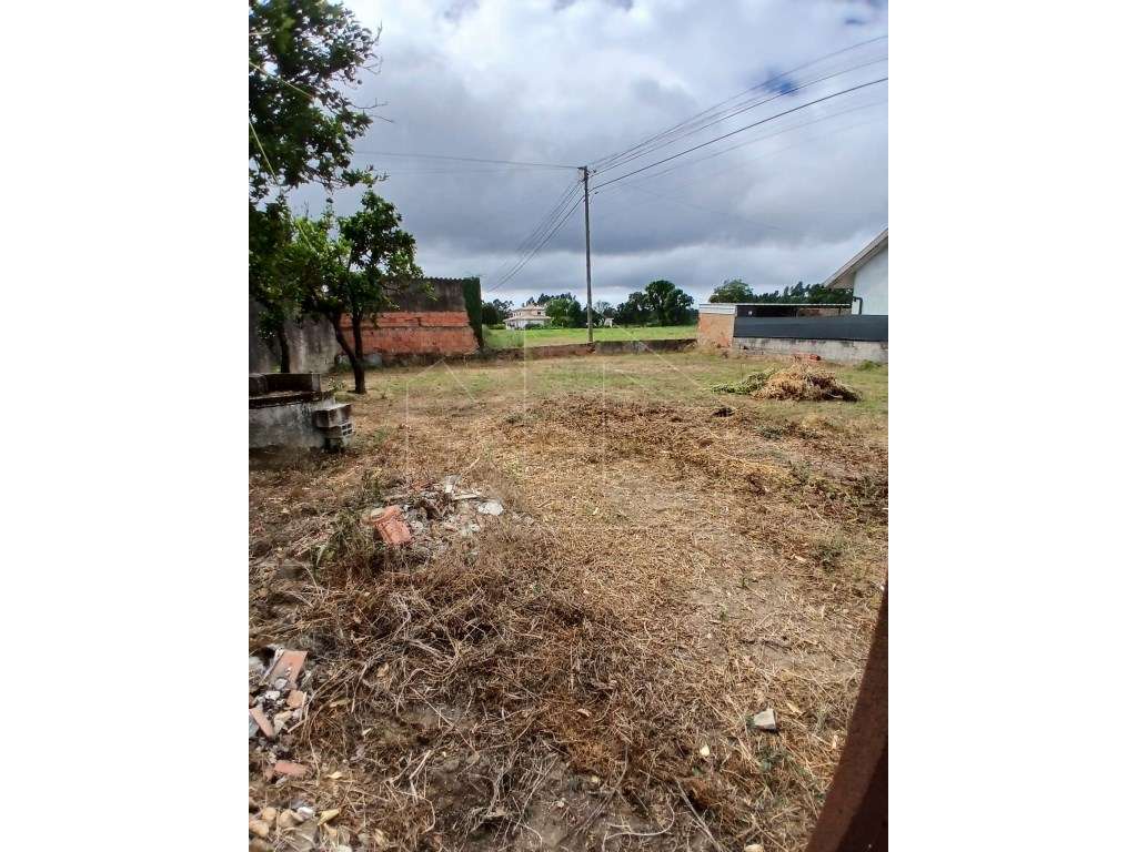 Terreno Oliveira do Bairro - Grande imagem: 2/3