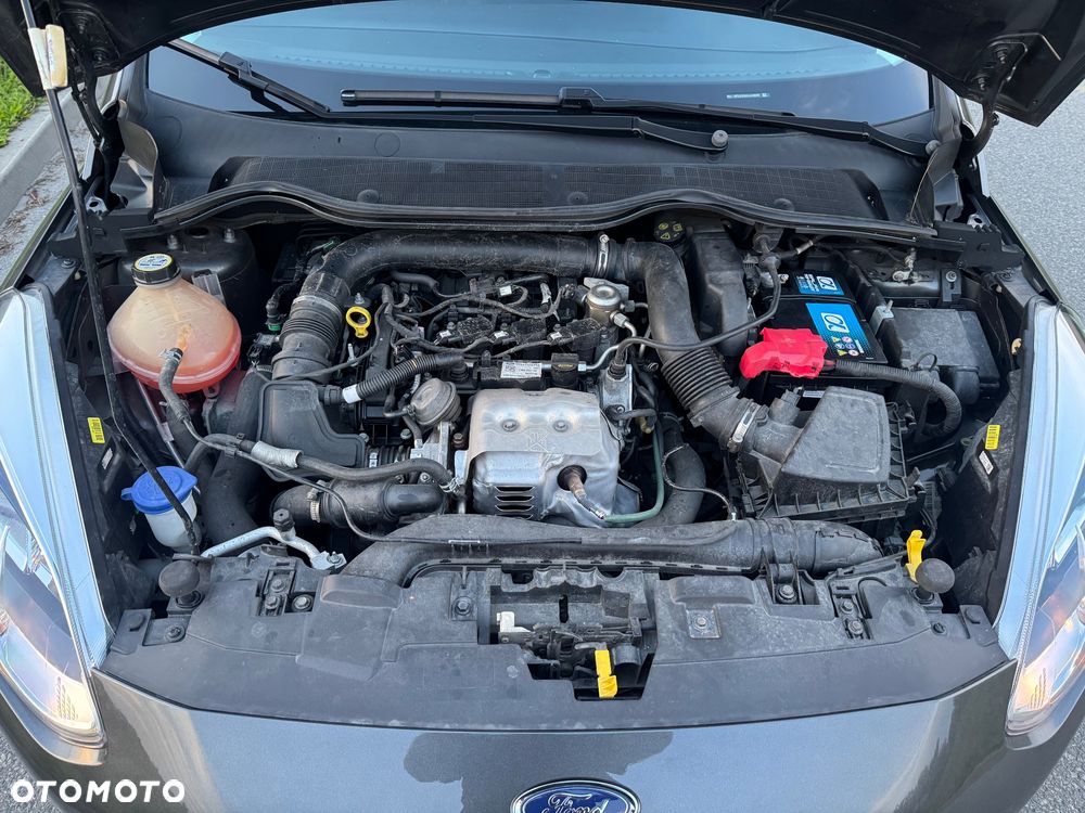 Ford Fiesta - 15