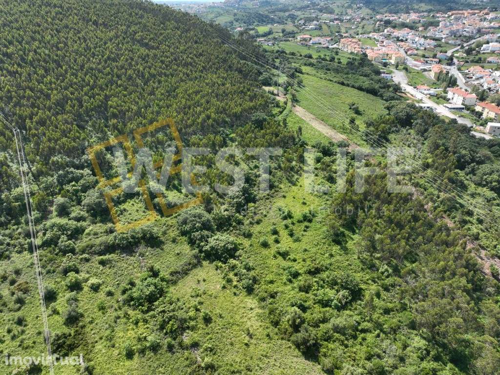 Terreno Rústico com 10937m2 - EXCLUSIVO WL - Ótima exposição solar ... - Grande imagem: 3/15