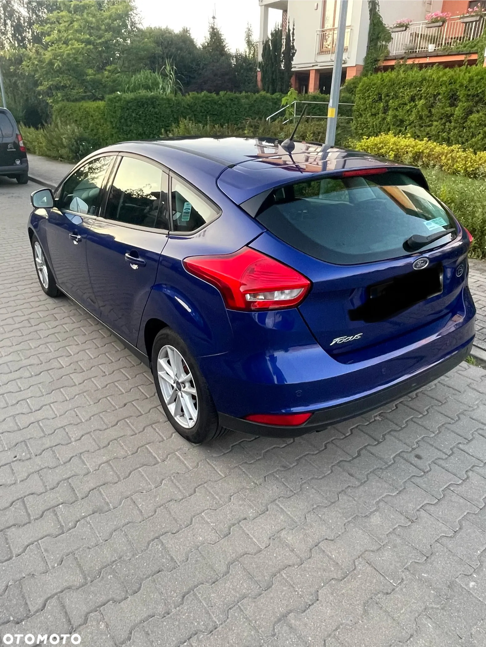 Ford Focus - 7