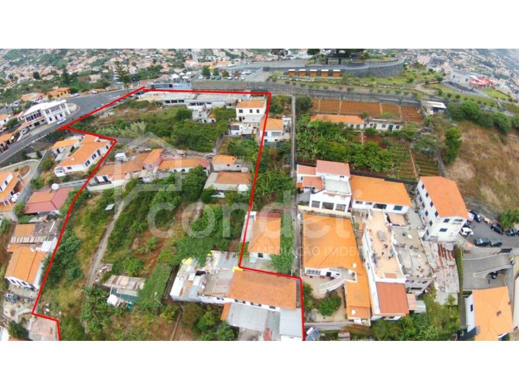 Terreno com 5830m2 no Pico dos Barcelos - Grande imagem: 2/10